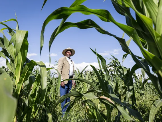 Man standing in a field of crops