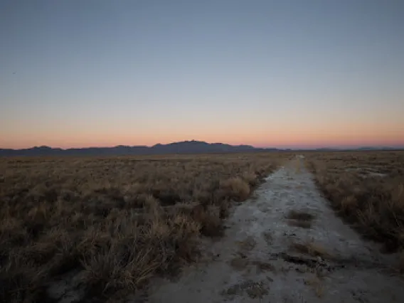 Photo of a field at dusk