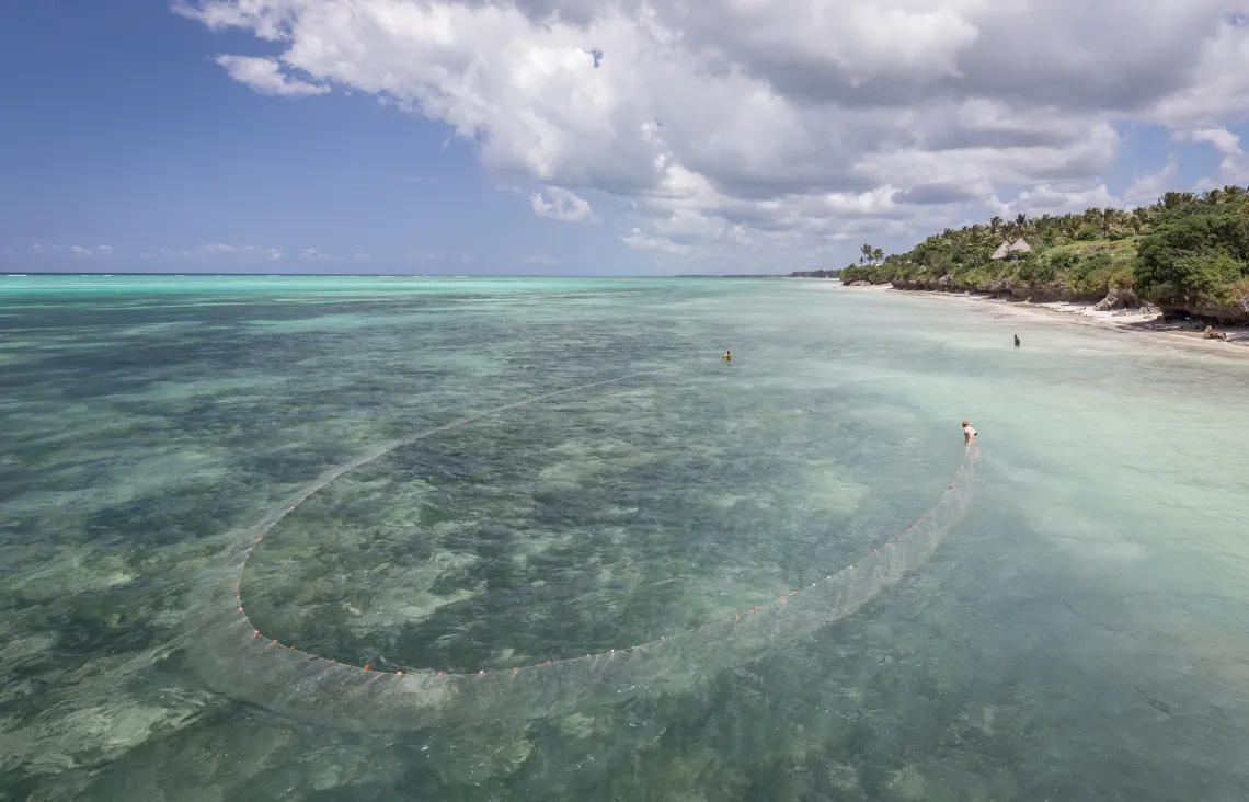 Nets being used off of the coast of a tropical region.