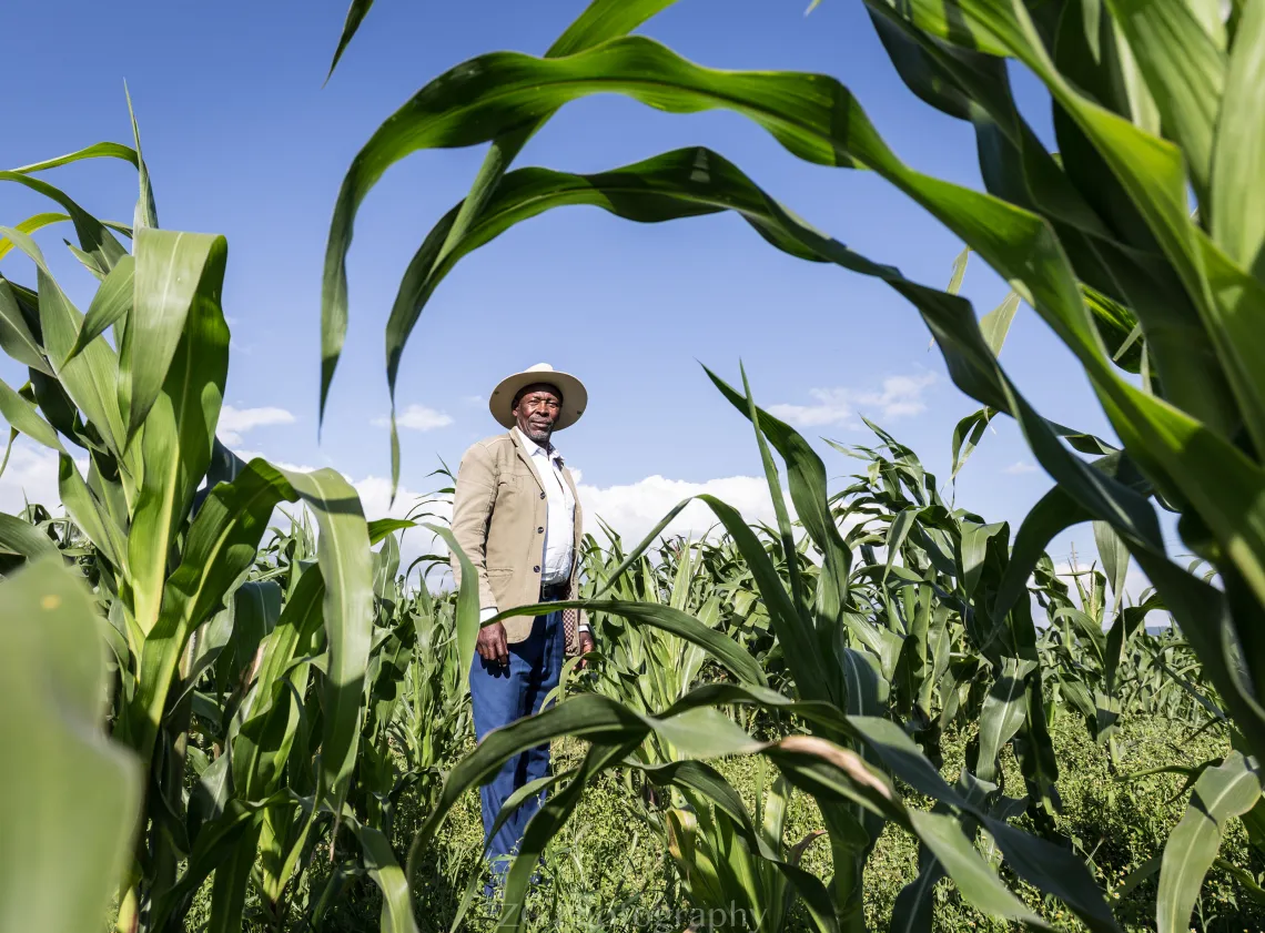 Man standing in a field of crops