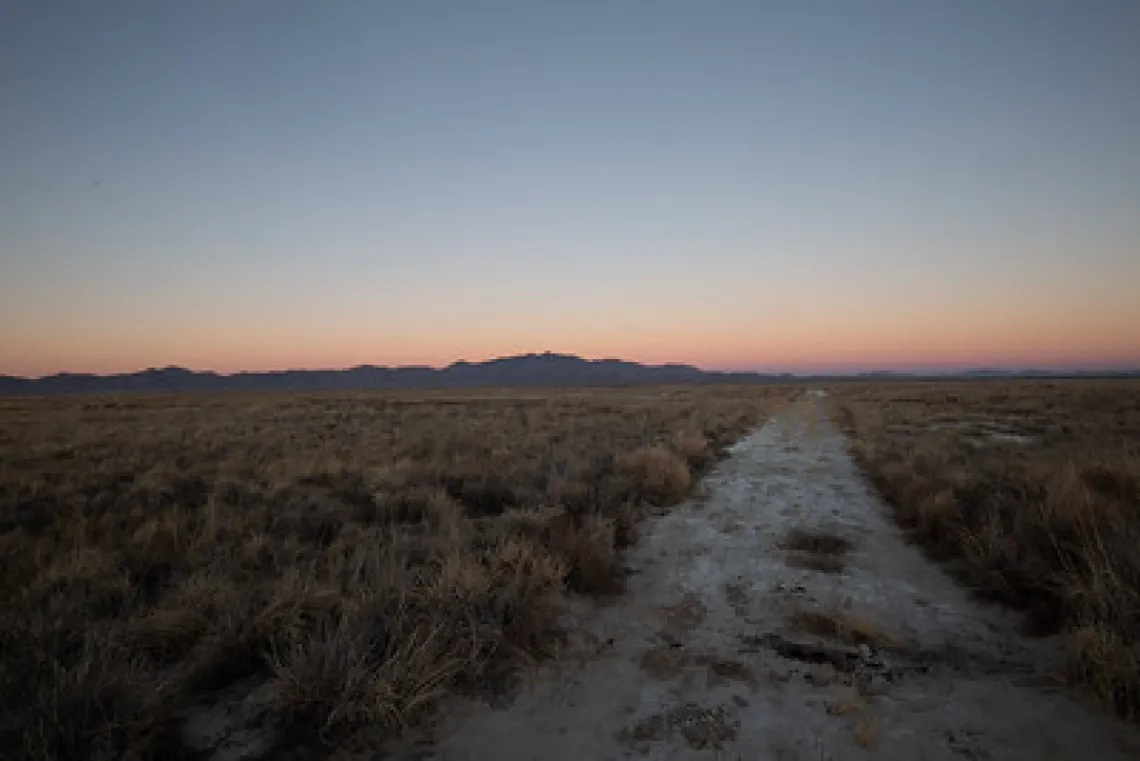 Photo of a field at dusk